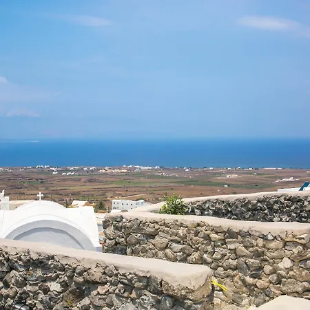Mulberry فيلة